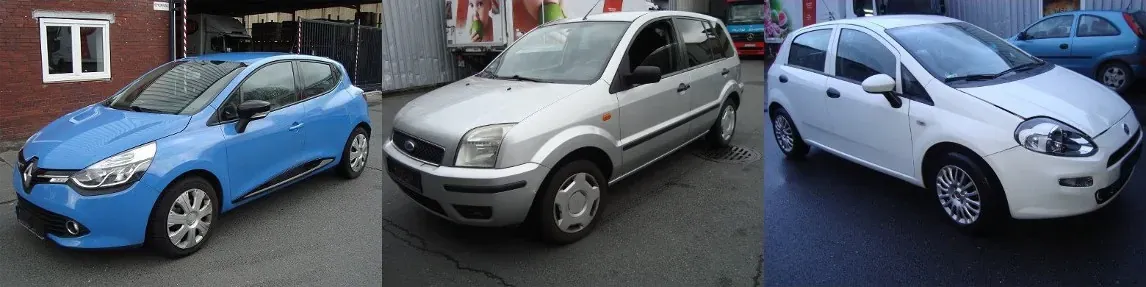 Angekaufte Fahrzeuge: Renault Clio, Ford Fusion, Fiat Punto